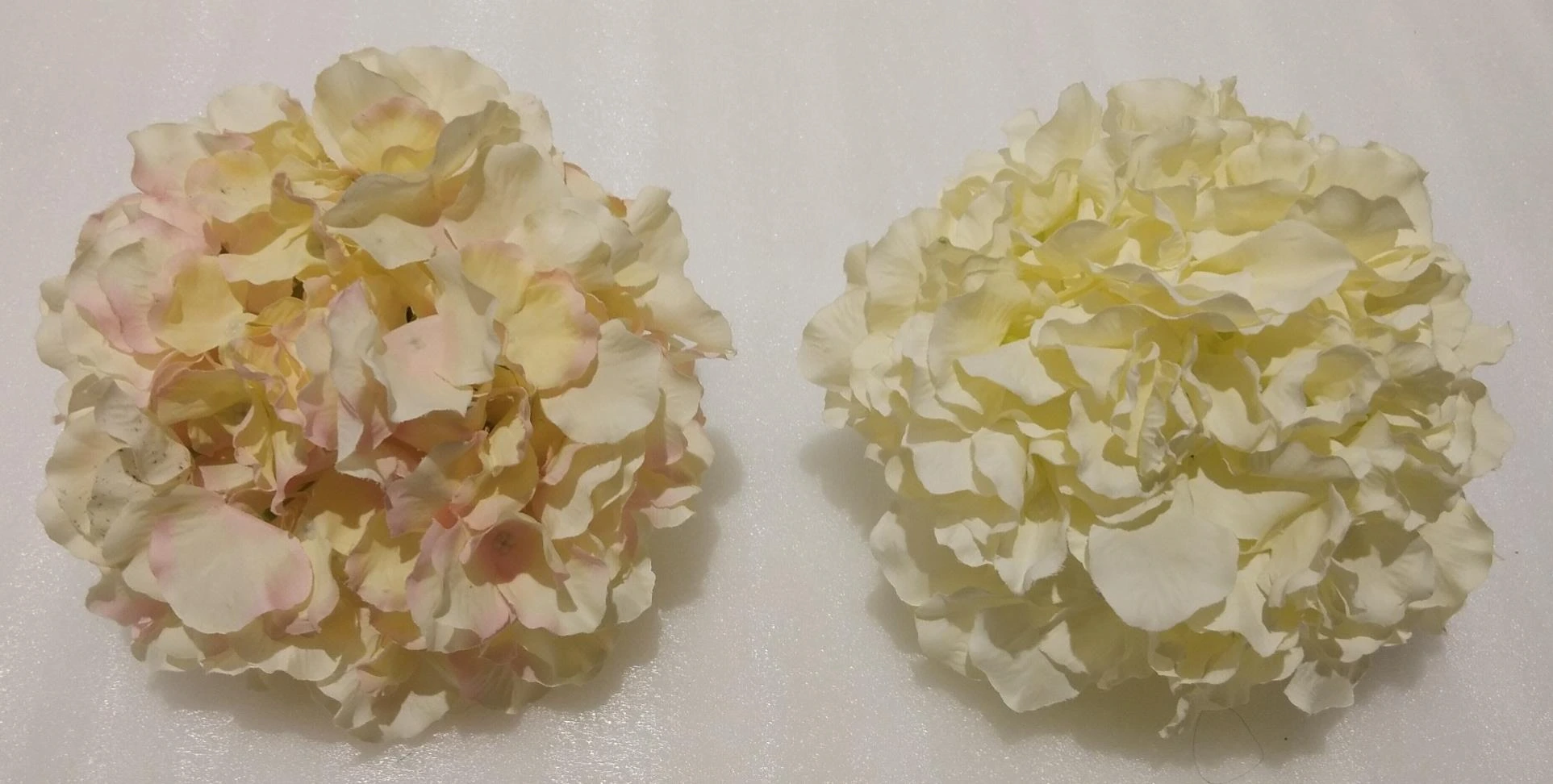 Hydrangea Head XL